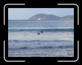Tortola 046 * Pelicans * 2592 x 1944 * (1.64MB)